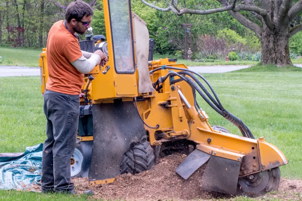 Stump Grinding