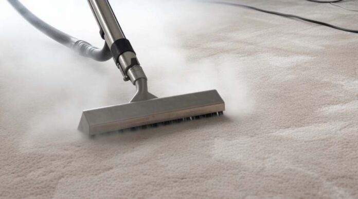 Can DIY Carpet Stain Removal in Sydney Compete with the Pros?