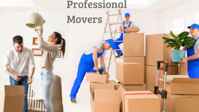 What Are the Key Principles for Safe Moving and Handling?