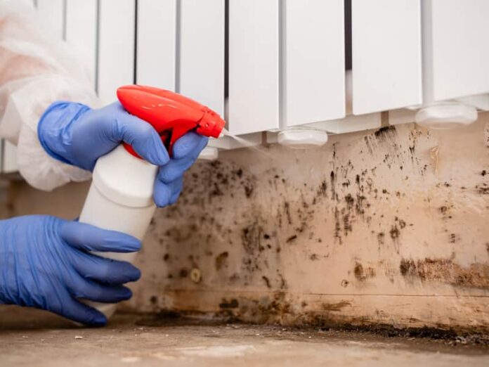 mold inspection columbus ohio