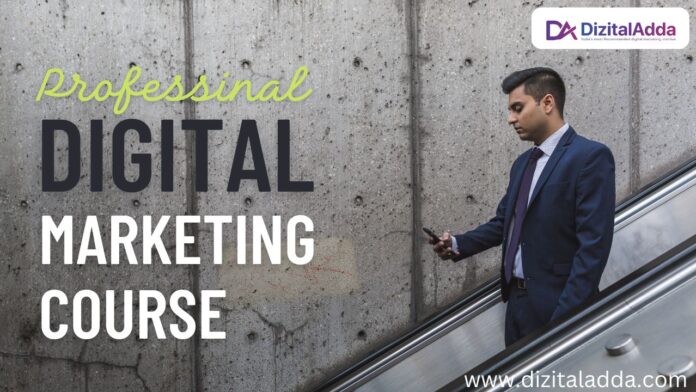 professional digital marketing course