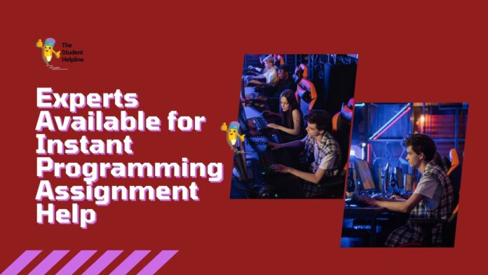 programmin assignment help